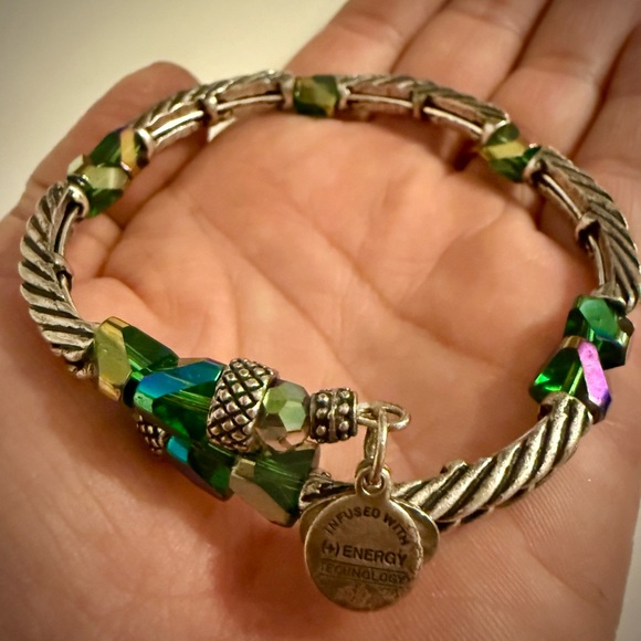 Alex and Ani Vintage Silver Bracelet with Multicolor Accents - Picture 2 of 5